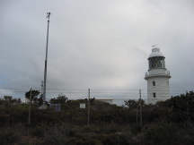 Cape Naturalist (WA)
