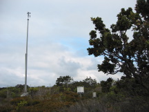 Cape Naturalist (WA)
