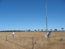 Salmon Gums Res. Stn. (WA)