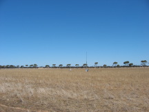 Salmon Gums Res. Stn. (WA)