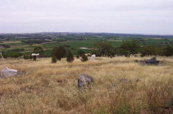 Barossa Valley