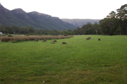  Grampians