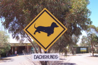 gesehen in Coober Pedy